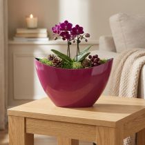 Produkt Roślinna łódka ozdobna miska miska Berry 20×9cm W12cm