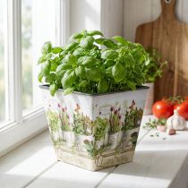 Produkt Doniczka na zioła, donica z motywem, donica wys. 13 cm szer. 13,5 cm