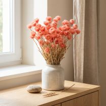 Produkt Suszone kwiaty kapeluszowe Kwiaty łososiowe Kwiaty słomiane W42cm