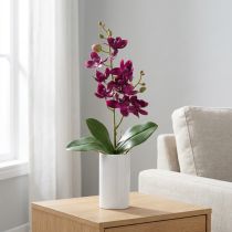 Produkt Mały sztuczny storczyk Phalaenopsis kwiat ciemnofioletowy 30cm