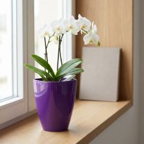 Produkt Doniczka do storczyka, błyszcząca, Ø12,5cm, fioletowa