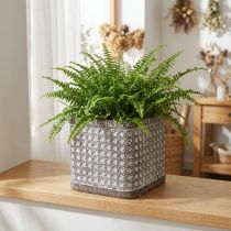 Produkt Sadzarka Doniczka ceramiczna 15×15×15cm