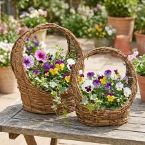 Produkt Kosz do sadzenia z uchwytem, wzór winorośli, dł. 18/22 cm, zestaw 2 szt.