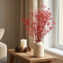 Produkt Gypsophila Gypsophila suszone kwiaty czerwone 50cm 55g