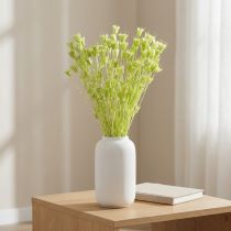 Produkt Suszone kwiaty czarnuszki, urocza, naturalna dekoracja do domu, 70 cm, 50 g