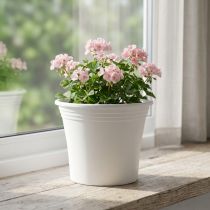 Produkt Doniczka plastikowa „Irys” biała Ø25cm W21cm 1 szt