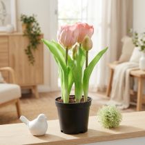 Produkt Sztuczne Kwiaty w Doniczce Sztuczne Tulipany Różowo-Żółte 22,5cm