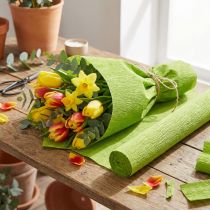 Produkt Papier florystyczny krepowy trawiasty zielony 50x250cm