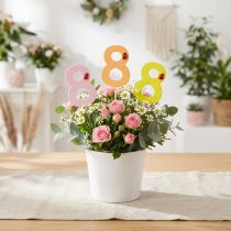 Produkt Numer rocznicowy "8" kolorowy zatyczka numeryczna drewniana 7,5cm 16 sztuk