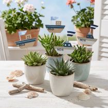 Produkt Wtyczka dekoracyjna drewniana biała niebieska naturalna 8cm W37cm 24 szt