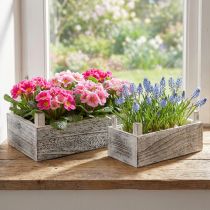 Produkt Prostokątna drewniana skrzynka na rośliny bielona 32x17/25x13cm, zestaw 2 sztuk
