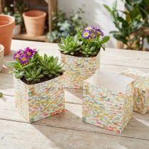 Produkt Torba na prezenty torba na rośliny torba na prezenty wzorzysta 10,5cm 8 szt