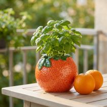Produkt Śródziemnomorska dekoracyjna pomarańczowa doniczka ceramiczna Ø9cm