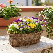 Produkt Owalny kosz do sadzenia, wzór winorośli, naturalna taca do sadzenia, długość 30 cm