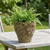 Produkt Doniczka rustykalna z motywem mchu Ø17cm H16,5cm
