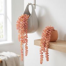 Produkt Sedum 'Rubin' roślina wisząca – dekoracyjna, łatwa w pielęgnacji sukulenta 43cm 3szt.