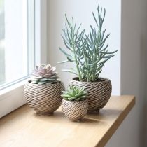 Produkt Miska dekoracyjna ceramiczna spiralna beżowo-brązowa Ø9cm 4szt