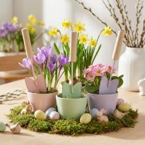 Produkt Łopaty dekoracyjne, różne kolory, 14 cm, 9 sztuk