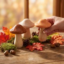 Produkt Grzyby drewniane dekoracyjne, brązowe, beżowe, pomarańczowe, Ø7,5cm, wys.10cm, 3 sztuki