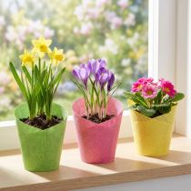 Produkt Papier doniczkowy tkany różowy, żółty, zielony Ø7cm W13cm 12szt