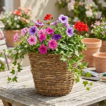 Produkt Kosz na winorośl Ø25cm H22,5cm naturalny donica