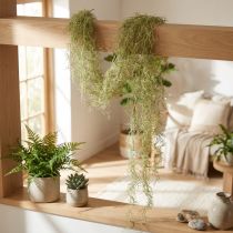 Produkt Tillandsia dekoracyjna zawieszka Tillandsia sztuczna zieleń biała 180cm