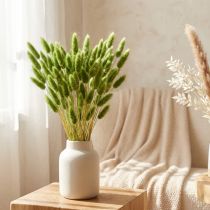 Produkt Trawa ogonowa królika Trawa ozdobna Lagurus oliwkowa L65cm 50g