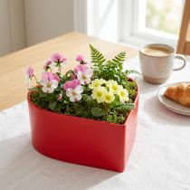 Produkt Romantyczne roślinne serce Miska na rośliny serce czerwone 15×15×7cm 3szt