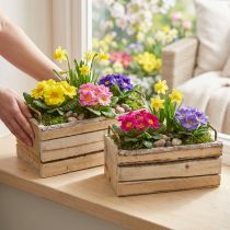 Produkt Doniczka z kory drewnianej z naturalnym uchwytem Dł. 29 cm/23 cm Zestaw 2 szt.