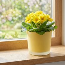 Produkt Szklana doniczka żółta donica szklana Ø10cm W8,5cm