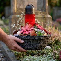 Produkt Oasis Czarna Biolit Miska na rośliny Miska na kwiaty Czarna Ø26cm