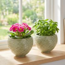 Produkt Doniczka dekoracyjna miska ceramiczna w kolorze zielonym Ø15cm H11cm 2szt