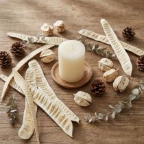 Produkt Strąki Scaletta bielone 25 szt