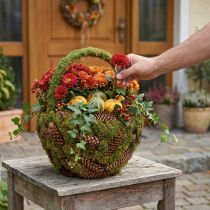Produkt Rustykalny kosz do sadzenia z mchem i szyszkami - dekoracyjny kosz z uchwytem Ø32cm H42cm - uniwersalna dekoracja ogrodu i domu