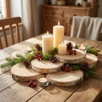 Produkt Krążki drewniane z korą Krążek brzozowy naturalny Ø9-10cm 7 szt