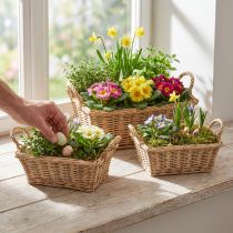 Produkt Kosz na rośliny prostokątny wiklinowy naturalny 39/33/27cm, zestaw 3 szt