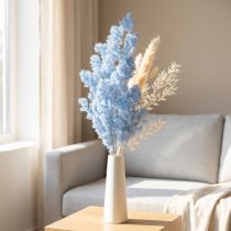 Produkt Szparagi ozdobne, jasnoniebieskie, suszone kwiaty, 55-70 cm