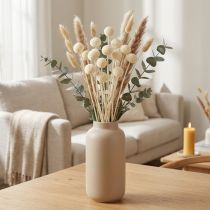 Produkt Craspedia Podudzia suszone kremowe 45-55cm 20 szt