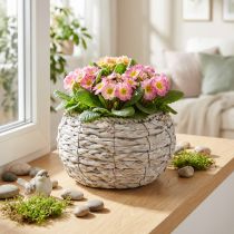 Produkt Biały, myty, okrągły kosz na rośliny, Ø22 cm, wys. 13 cm, doniczka, dekoracja