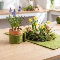 Produkt Wstążka filcowa zielona wełniana wstążka w kolorze mchu W7/15cm D1m/1m zestaw 2 szt