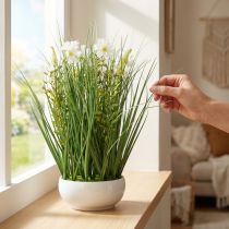Produkt Deco trawa z kwiatami cosmea w misie H45cm