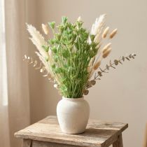 Produkt Suszone kwiaty czarnuszki zielonej 50cm 100g
