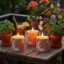 Produkt Świece zewnętrzne Ceramiczne Doniczki Citronella Fruit H7cm 3szt