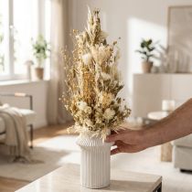 Produkt Suszone kwiaty białe złote ozdobne kwiaty na czapeczce Phalaris 30cm 200g