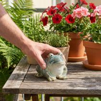 Produkt Figurka żaby, letnia dekoracja z ceramiki do domu i na balkon, 12 cm