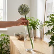 Produkt Sztuczna kwitnąca gałązka czosnku, realistyczny wygląd, 90 cm