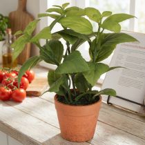 Produkt Sztuczna Bazylia w Doniczce Doniczka na Zioła Sztuczna Roślina 22cm 2szt