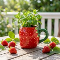 Produkt Kubek ceramiczny truskawka do sadzenia 10cm Ø6,5cm
