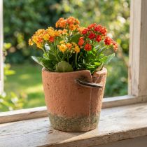 Produkt Betonowa doniczka doniczka z terakoty Ø13cm W13cm