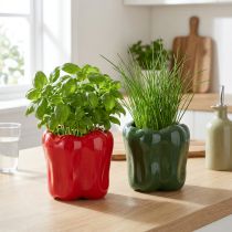 Produkt Ceramiczna doniczka w kształcie papryki do nowoczesnego wystroju kuchni, pasująca do każdego stylu wnętrza, 13 cm, 2 sztuki